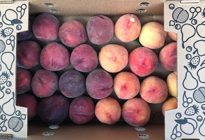 Local Seattle Delivery ONLY - Mixed Nectarines and Peaches