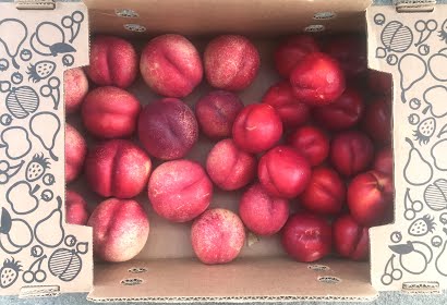 Local Seattle Delivery ONLY - Mixed Nectarines and Peaches