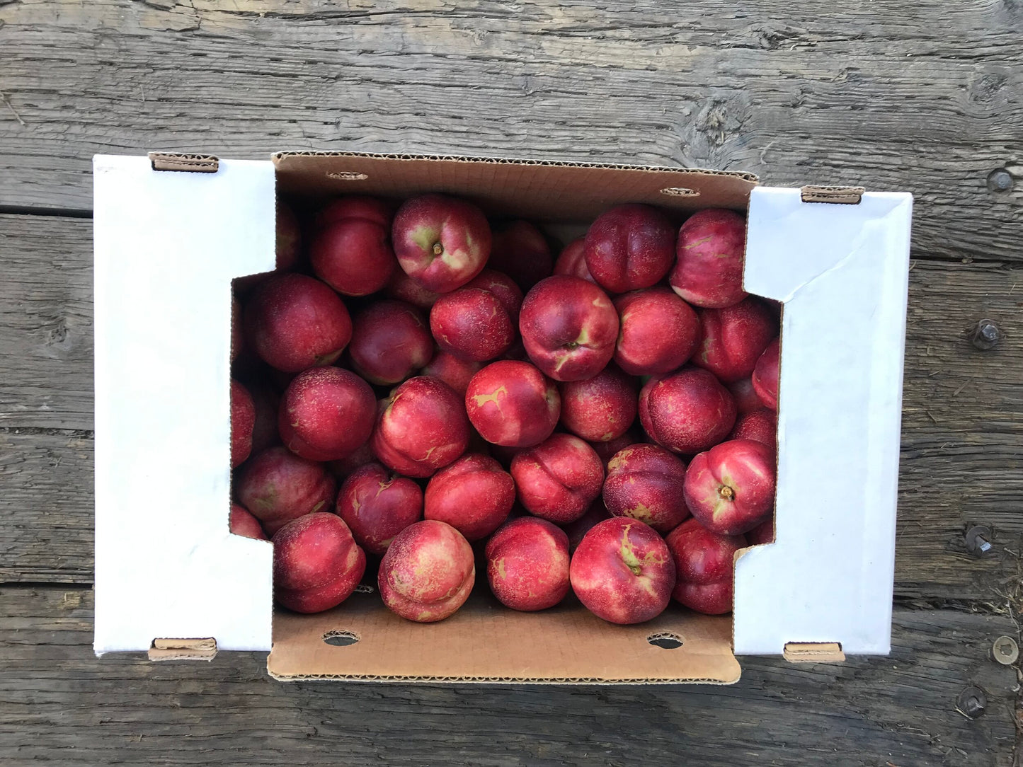 Local Seattle Delivery ONLY - White Nectarines