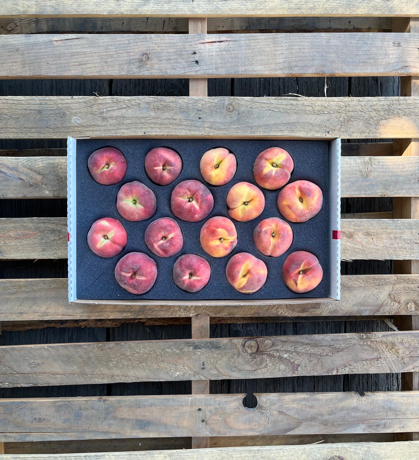 Nationwide Delivery ONLY - Mixed Nectarines and Peaches