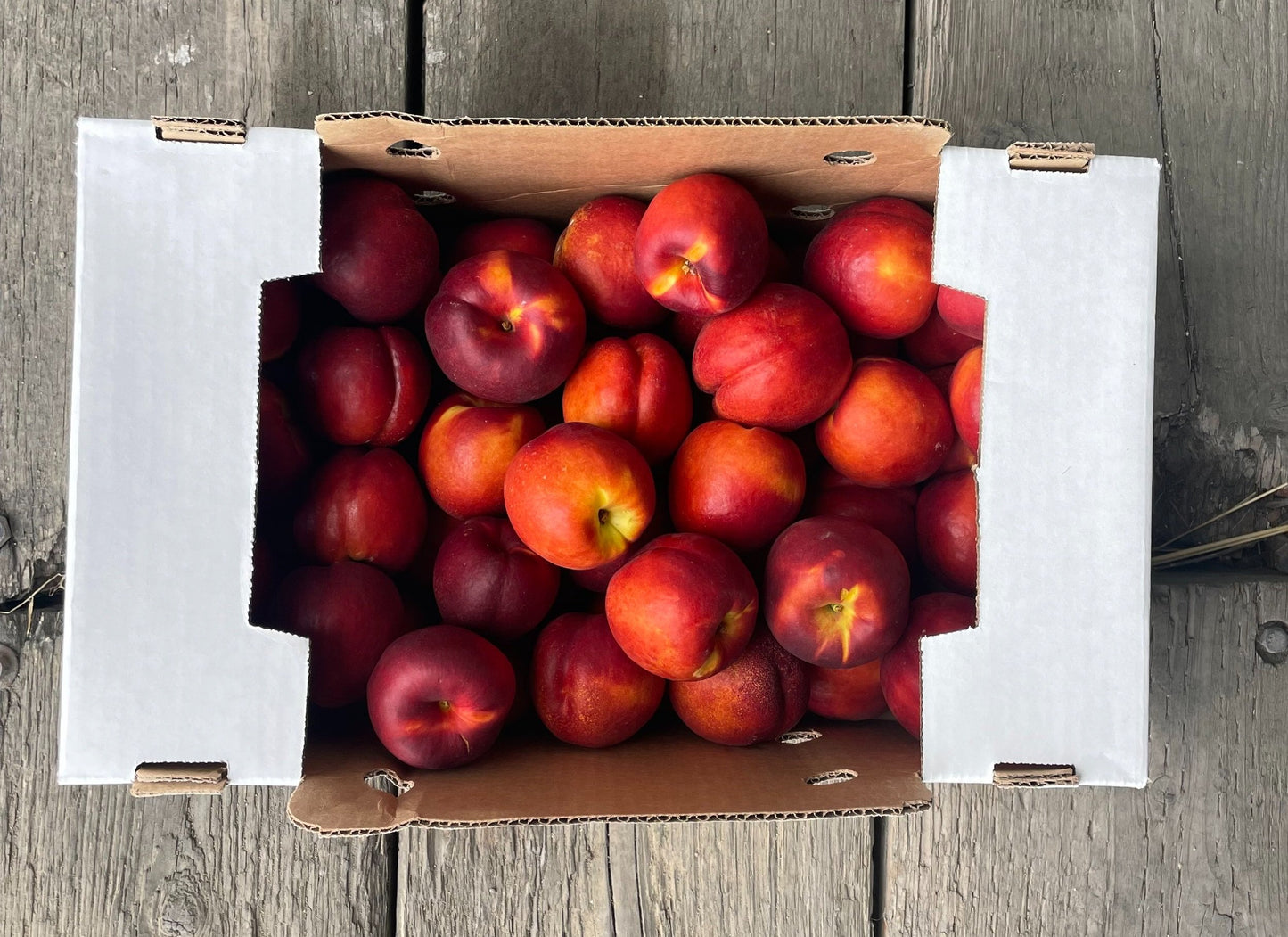 Local Seattle Delivery ONLY - Yellow Nectarines