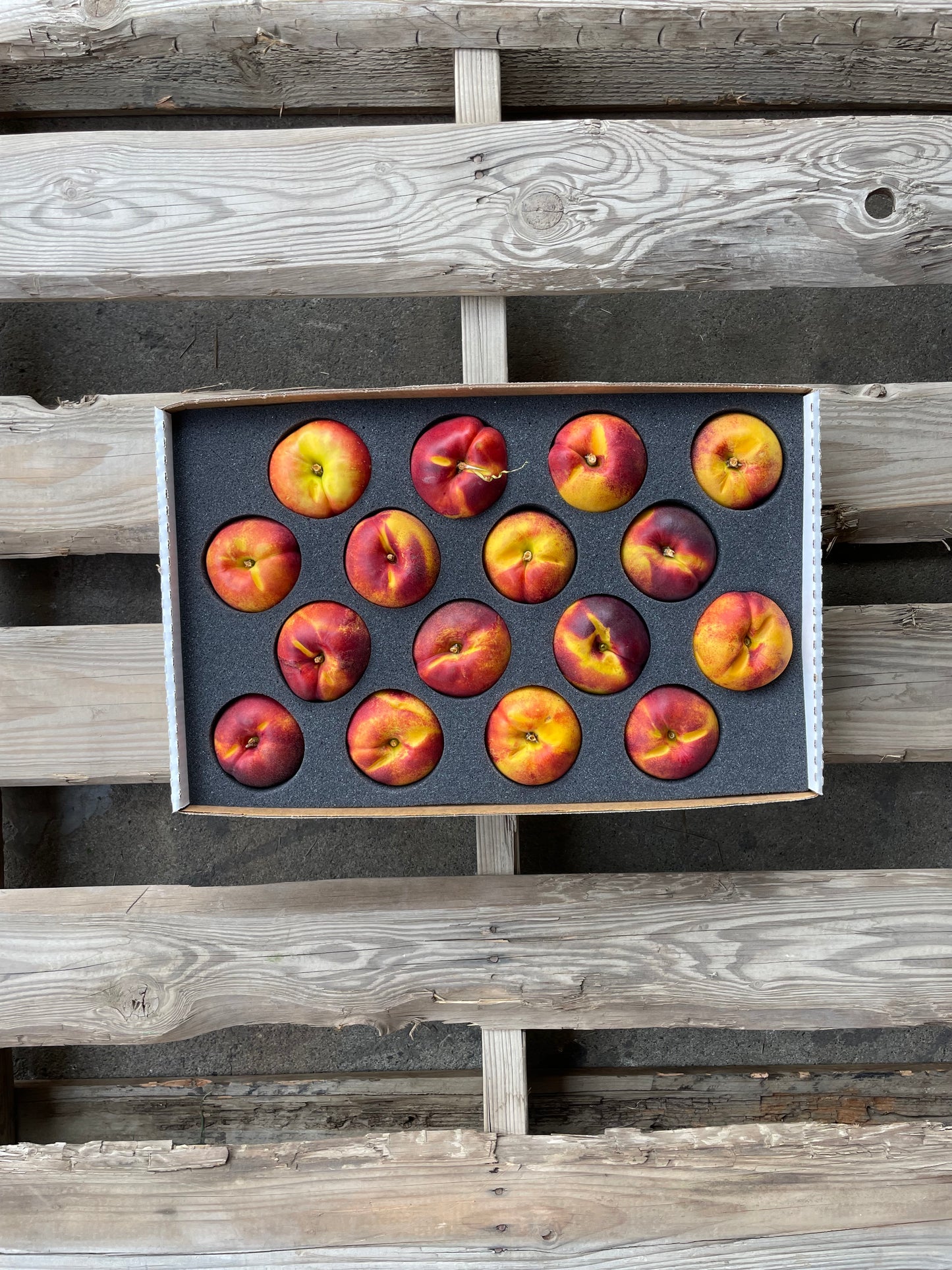 Nationwide Delivery ONLY - Yellow Nectarines