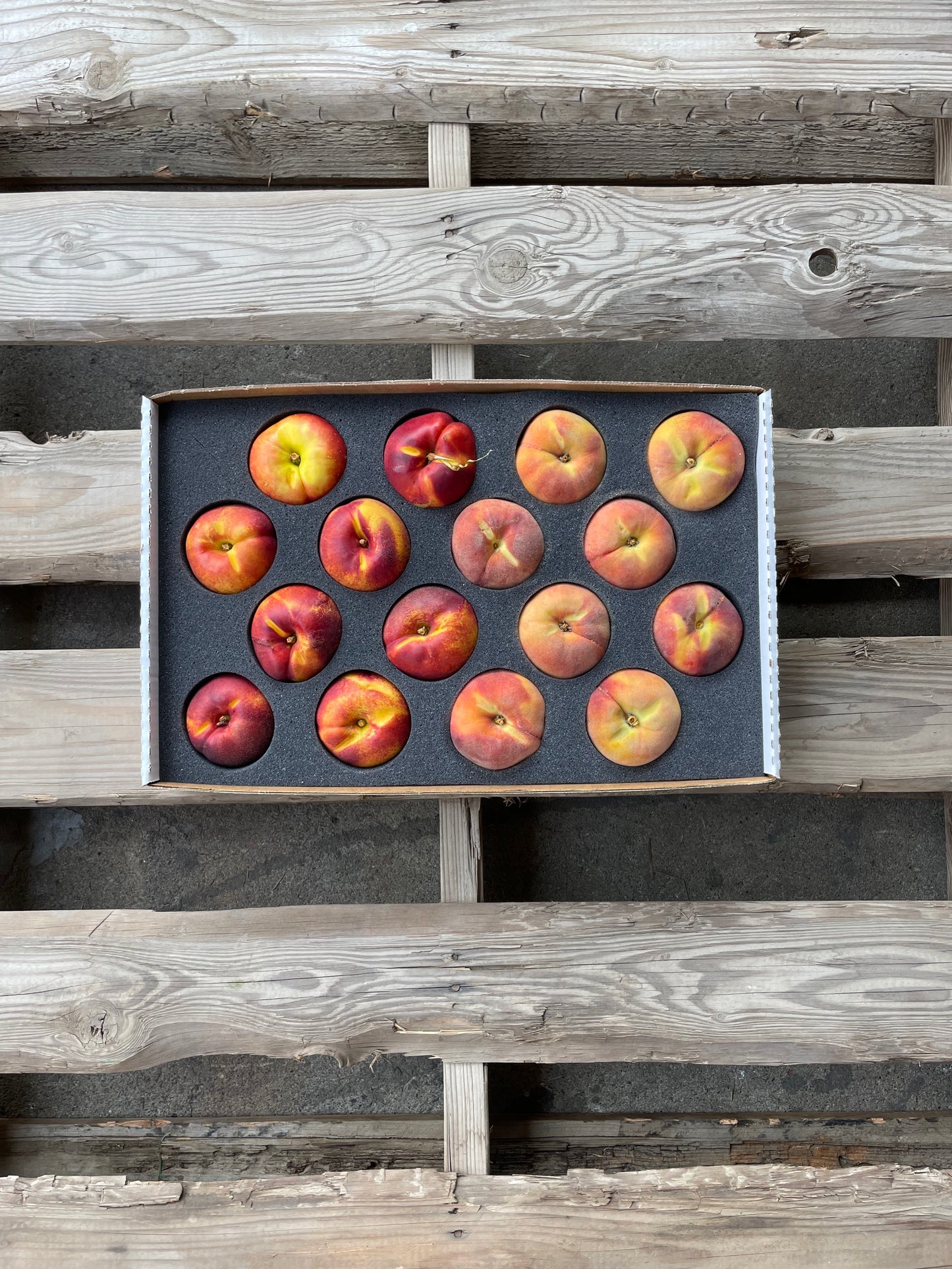 Nationwide Delivery ONLY - Mixed Nectarines and Peaches