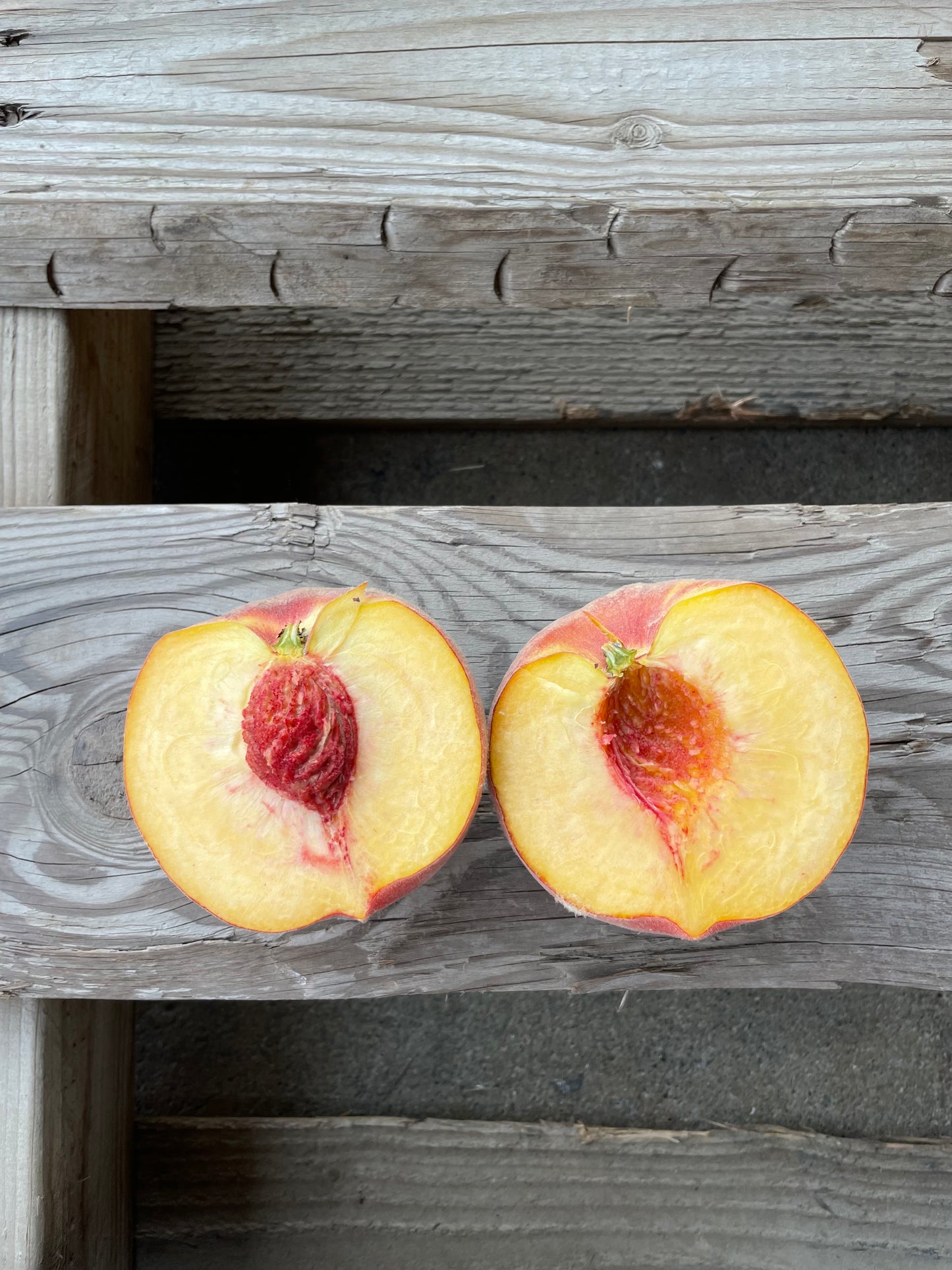 Nationwide Delivery ONLY - Yellow Freestone Peaches