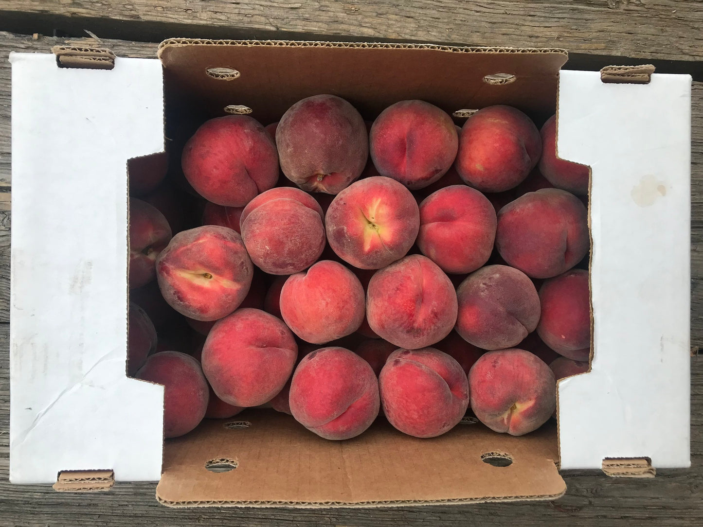 DRU BRU CLE ELUM PICKUP: Freestone White Peaches