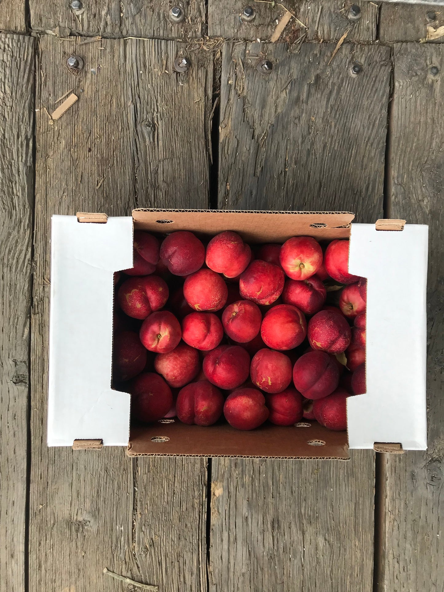 DRU BRU CLE ELUM PICKUP: White Nectarines