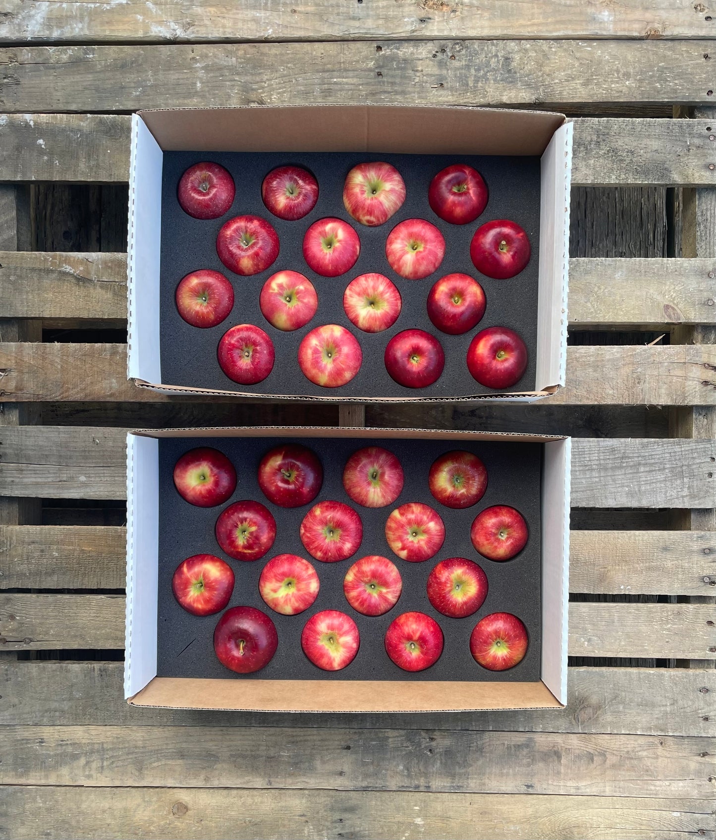 Seasonal Mixed Apples