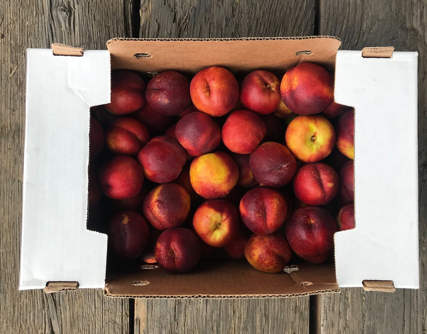 Local Seattle Delivery ONLY - Yellow Nectarines