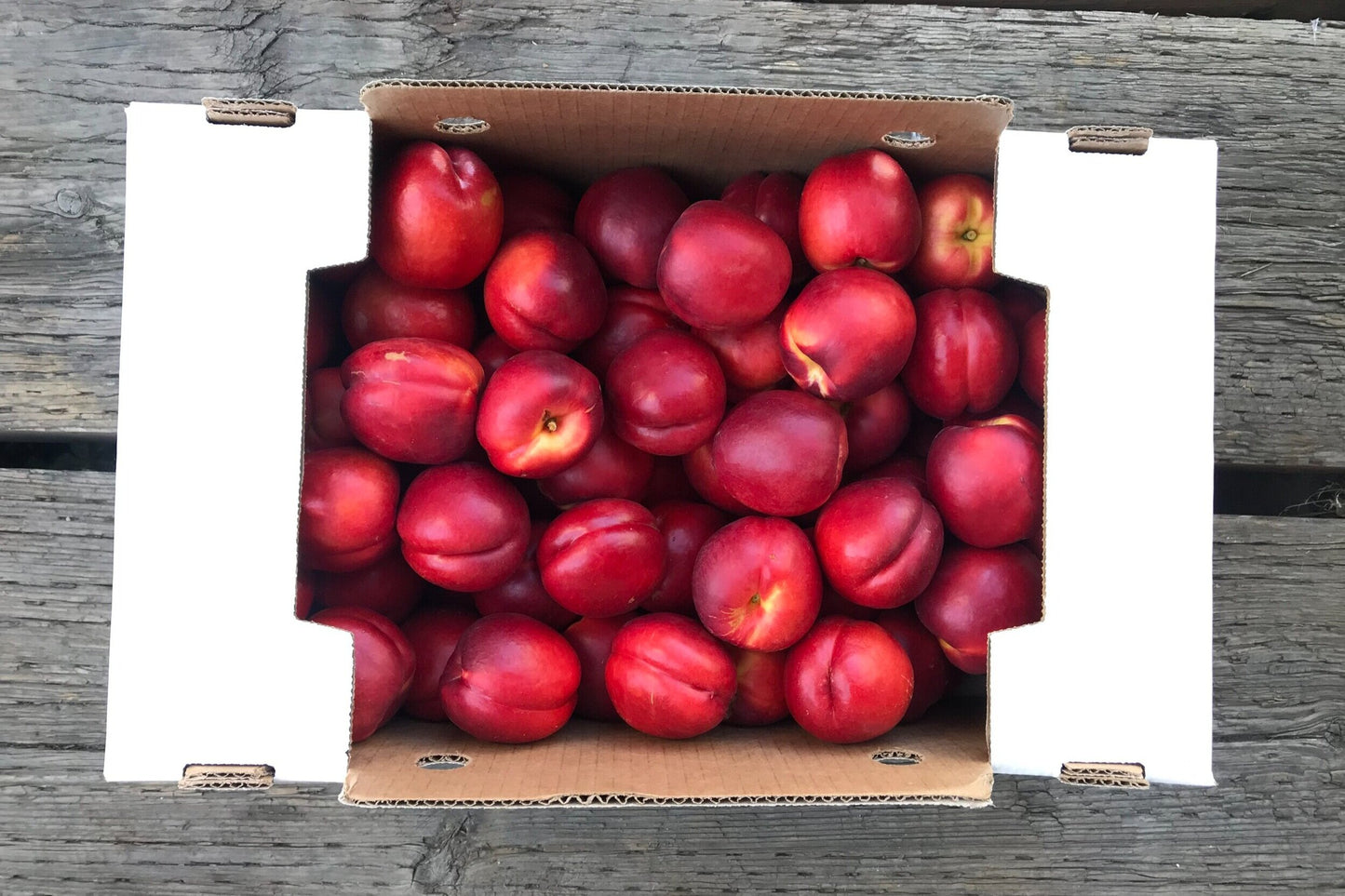 DRU BRU CLE ELUM PICKUP: Yellow Nectarines