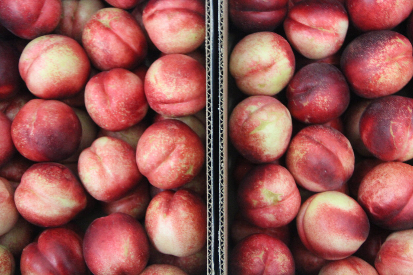 DRU BRU CLE ELUM PICKUP: White Nectarines