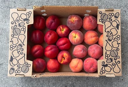 DRU BRU CLE ELUM PICKUP: Mixed Peaches and Nectarines