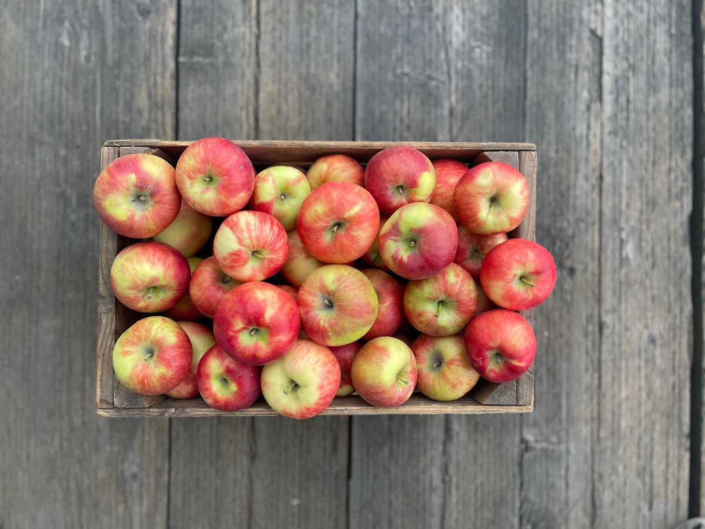 Seasonal Mixed Apples