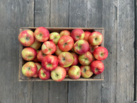 Honeycrisp Apples