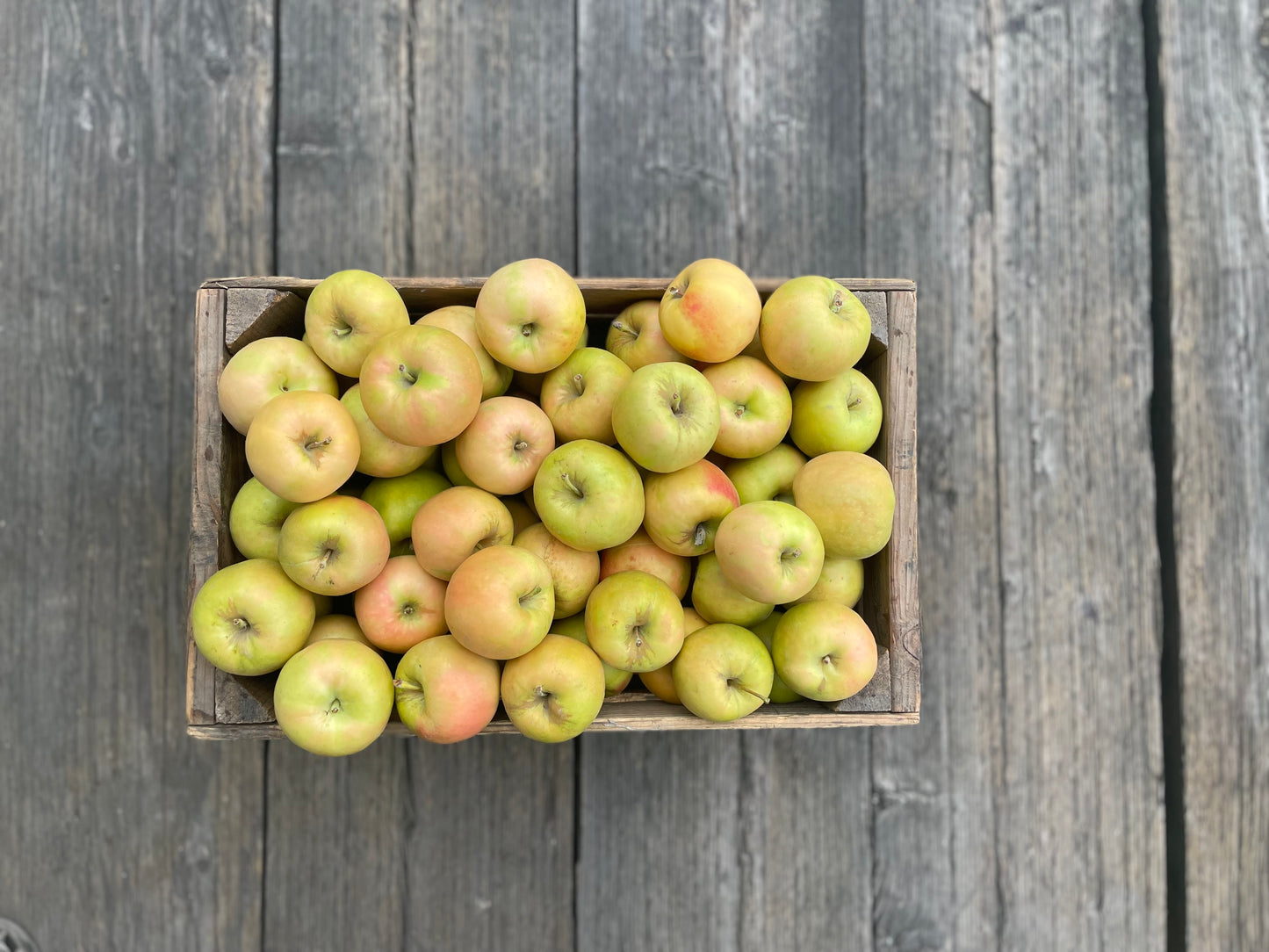 Seasonal Mixed Apples