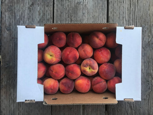 DRU BRU CLE ELUM PICKUP: Freestone Yellow Peaches