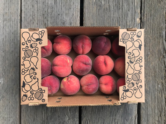 DRU BRU CLE ELUM PICKUP: Freestone White Peaches