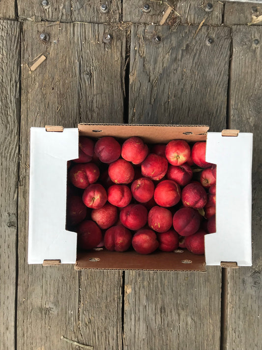 Local Seattle Delivery ONLY - White Nectarines