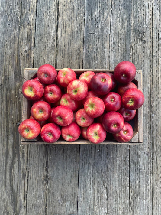 Giving Box - LOCAL DONATION - 20lb case of apples
