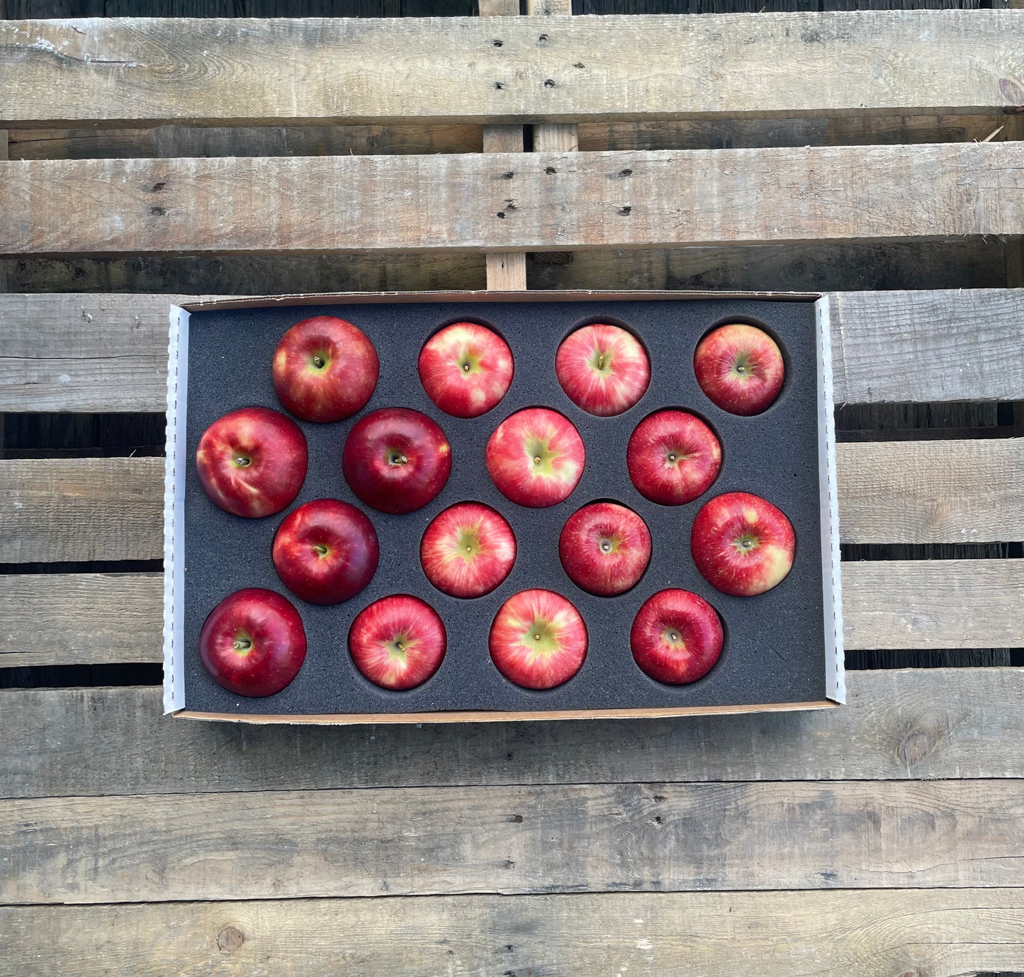 Seasonal Mixed Apples