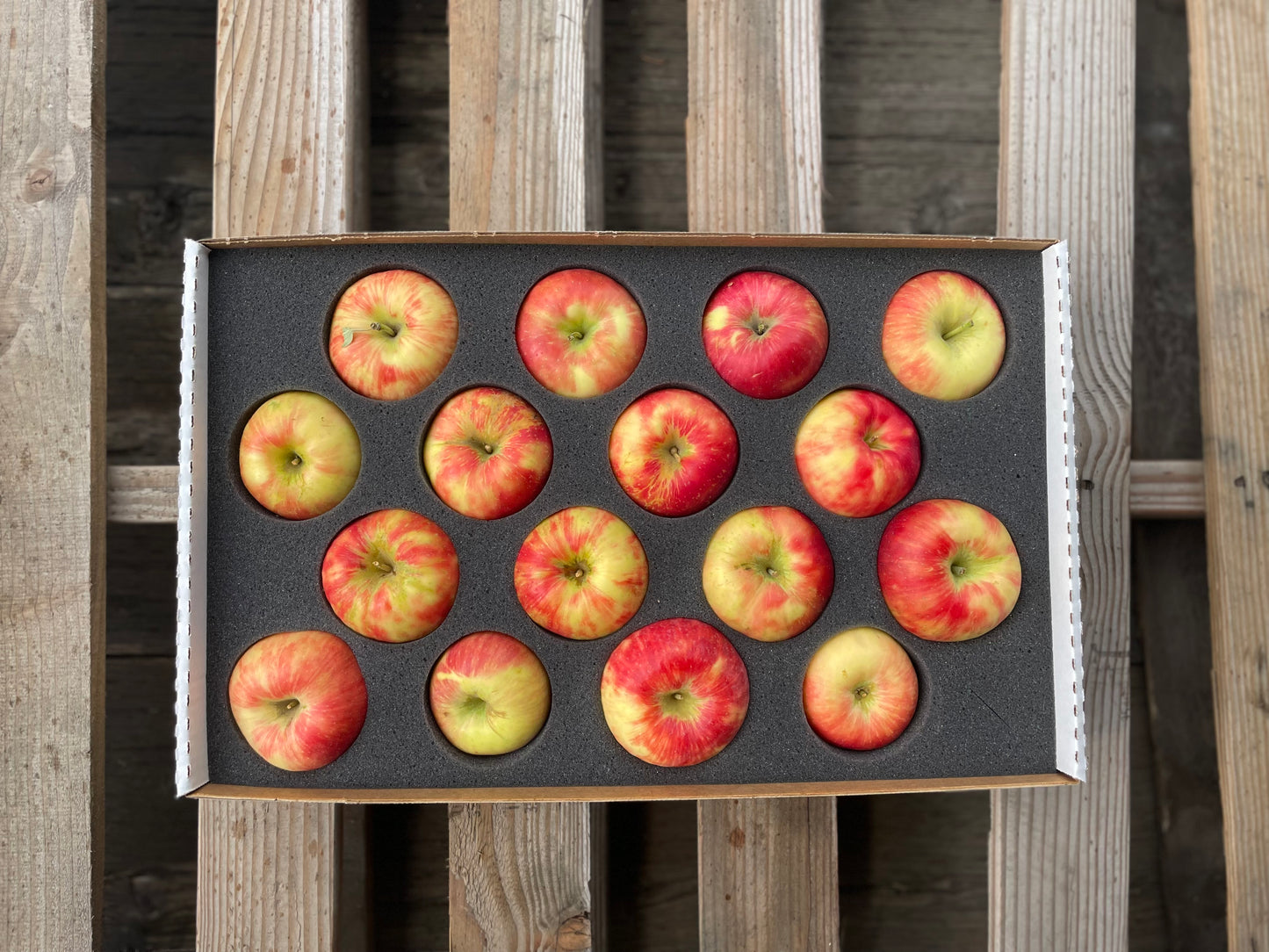 Honeycrisp Apples