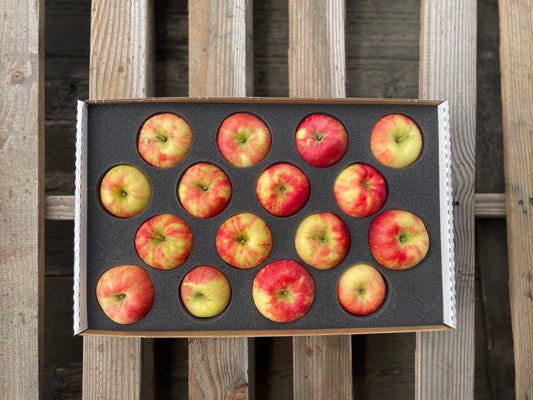Nationwide Delivery ONLY - Honeycrisp Apples