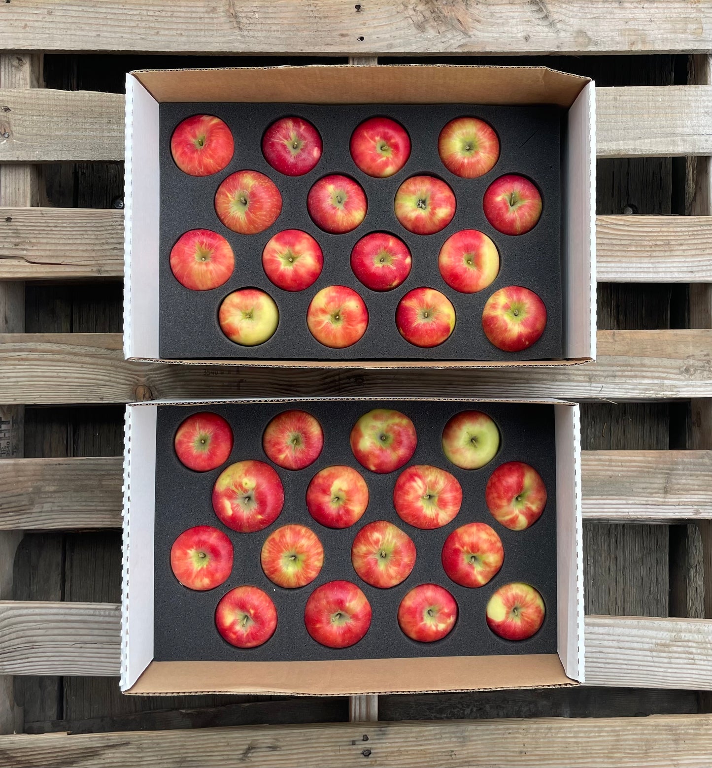 Honeycrisp Apples